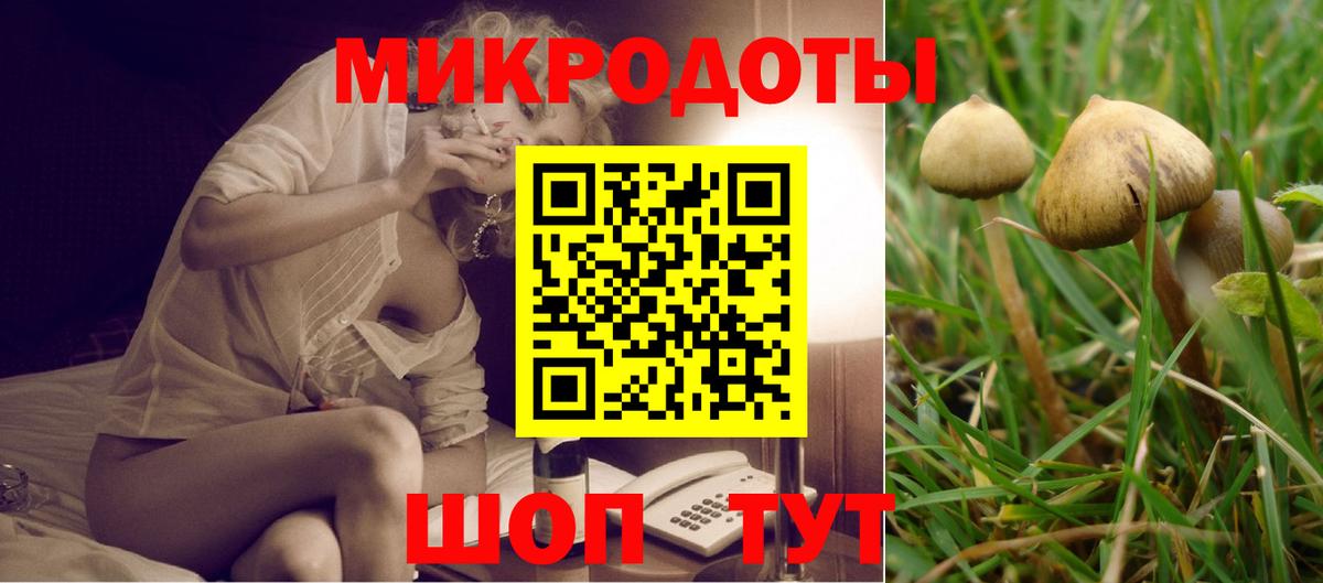 Галлюциногенные грибы Magic Shrooms Городец