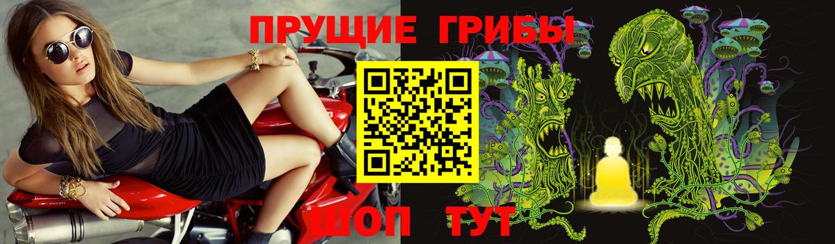 Городец  Псилоцибиновые грибы ЛСД  Псилоцибиновые грибы GOLDEN TEACHER  Вход с VPN 